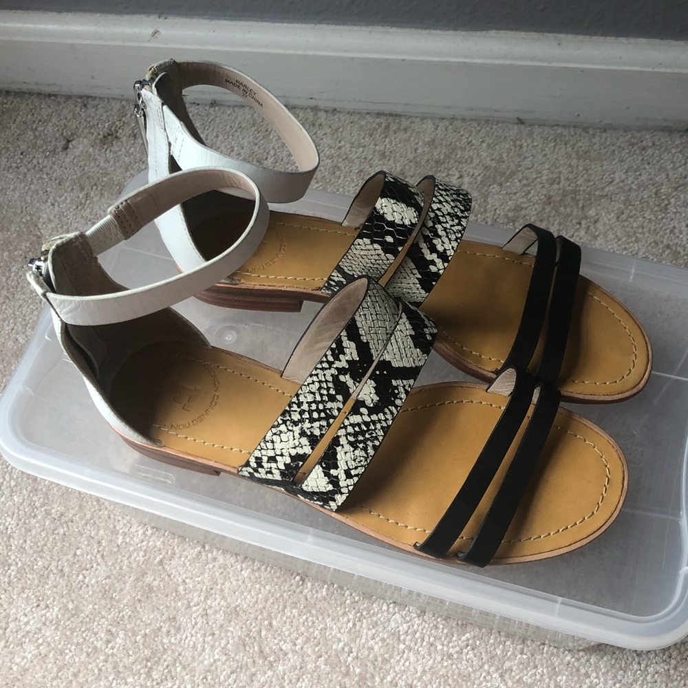 French connection sandals